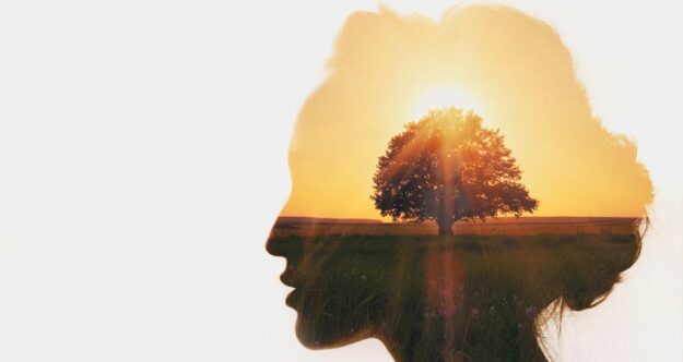 tree with head as frame